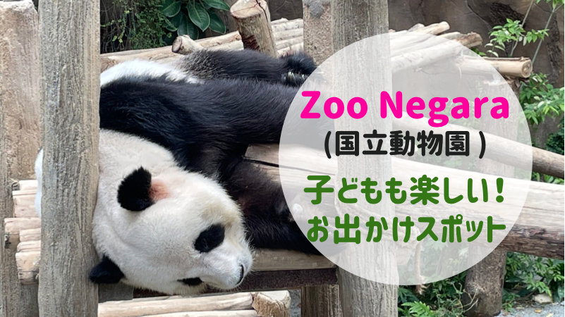 Zoo Negara マレーシア国立動物園へ行こう 子連れで楽しめるお出かけスポット Kaori In Malaysia マレーシア お役立ち情報サイト