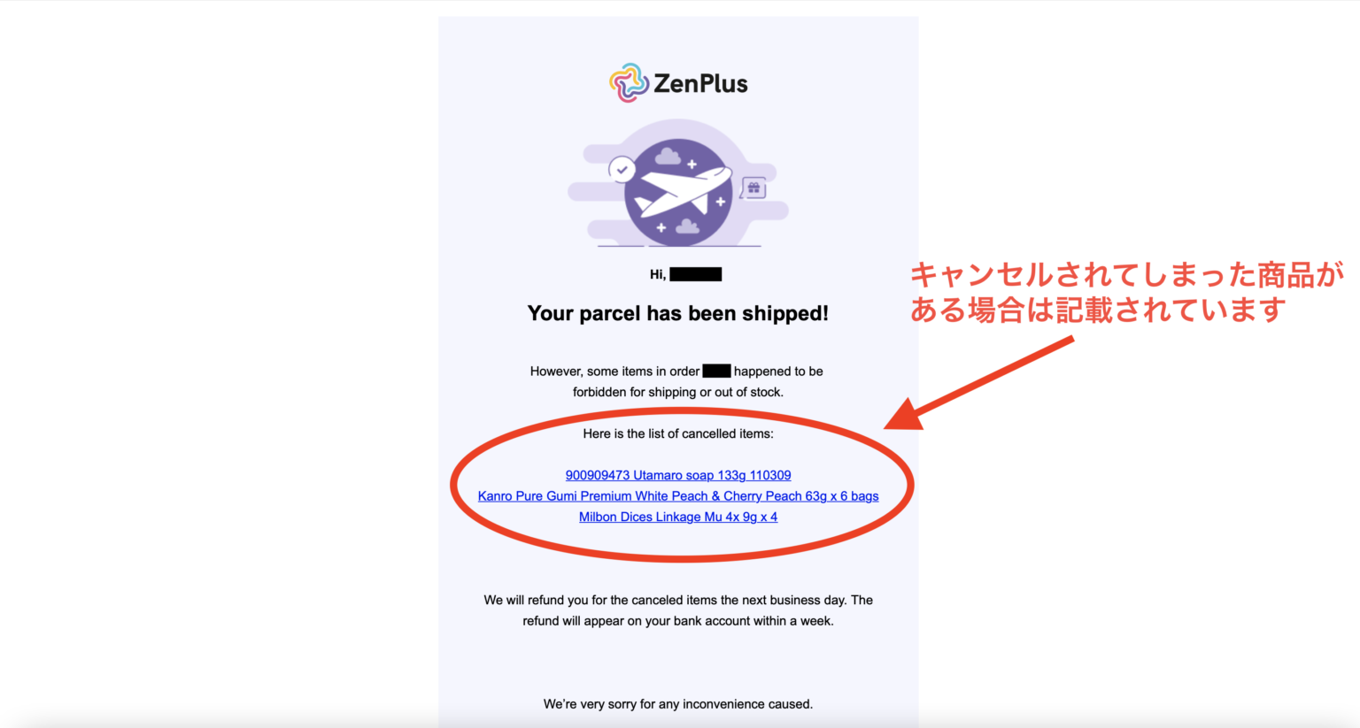 【ZenPlus体験レビュー】マレーシアから日本の商品を購入してみた!評判・使い心地は? | 南国マレーシア美容ログ